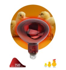 Излучатель тепловой (лампа инфракрасная) ИКЗК 220-250 R127 250Вт E27 IP20 Эра Б0042980